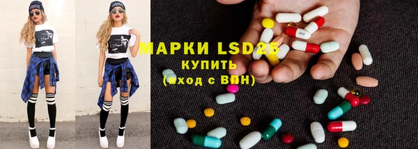 винт Алзамай