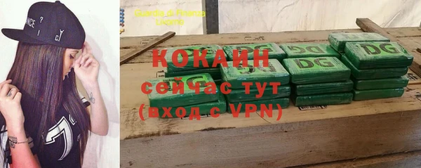 ГАЛЛЮЦИНОГЕННЫЕ ГРИБЫ Покровск